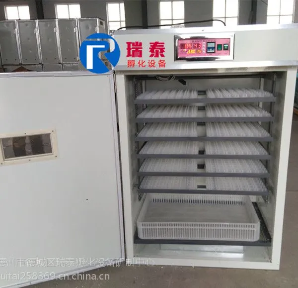 瑞泰1056枚小型全自动孵化器