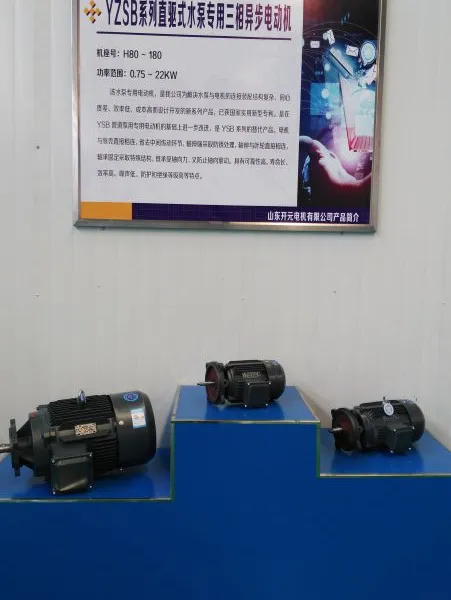 ��Ӧ������YZSBϵ��ֱ��ʽˮ��ר�õ綯��