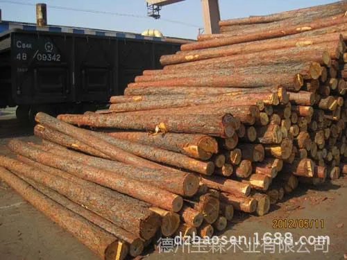 公司批发各种长度 矿用坑木 原木 板方材(同时出具增值税发票)