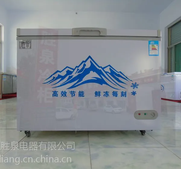 ȫ������ ʤȪ������ʽ�������290������ ����䶳����� ***