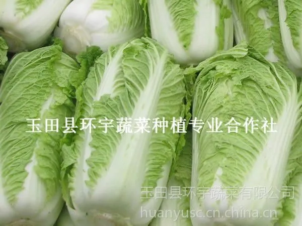 ��Ӧ�ӱ����������ʱ������Űײ� ����̰ײ� ������ײ� ��ײ˴�����Ӧֱ��
