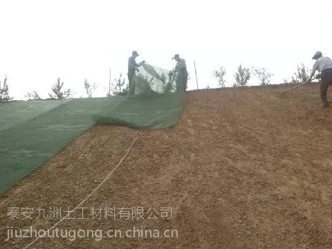 三维植被网,边坡植草绿化