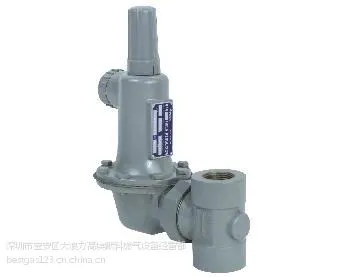 ��Ӧ����SENSUS 043-C ��Ȼ����ѹ��/Һ������ѹ��