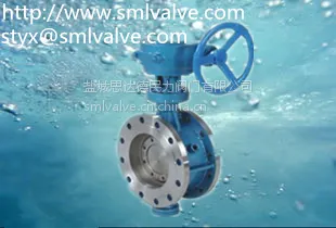 SMLV ����ַ�������D343W