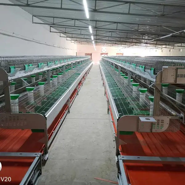 רҵ������������ ��ë�÷���һ���� �Զ�ι������ʽ���÷�ֳ���۸�