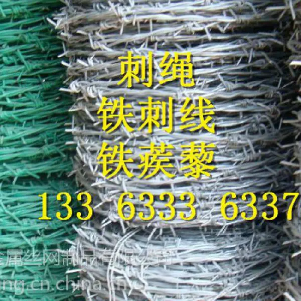 ͨ�Ǹָ��|����޼|��������Ǯ