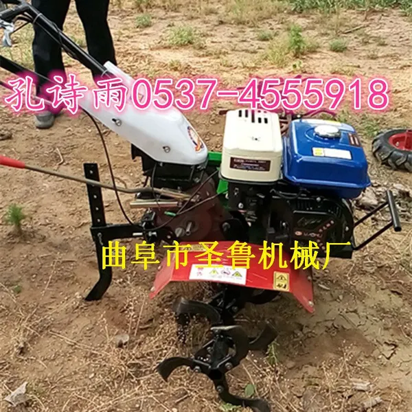 ����΢������Ӧ���� ʥ³***����������