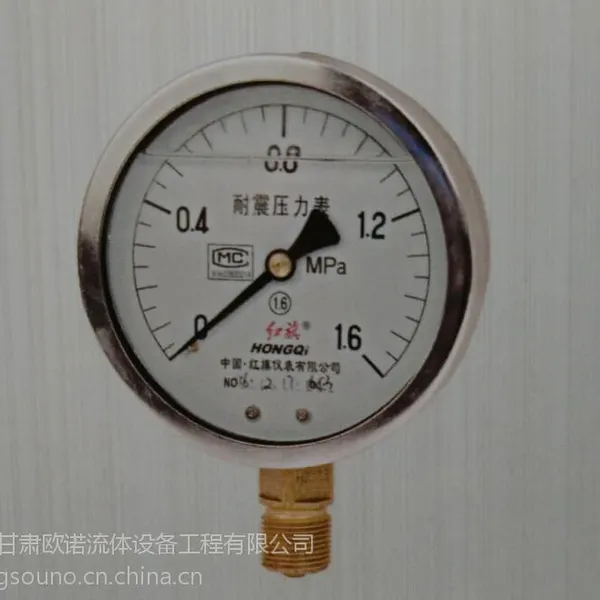 红旗不锈钢隔膜耐震压力表