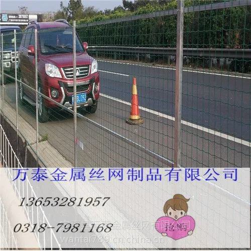 ����ʴ���������� ��̼�ְ���***�� ��̩�ְ��������Ż�