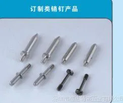 供应优质PTY不锈钢压铆螺钉