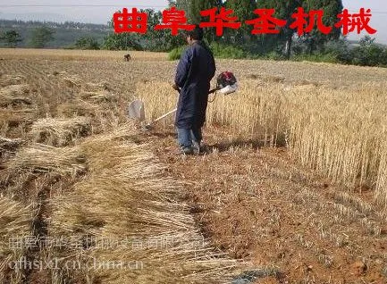 大小型割草机 汽油割草机报价 割草机批发