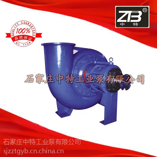 河北DT脱硫泵 吸砂 清淤脱硫泵 石家庄中特工业泵厂