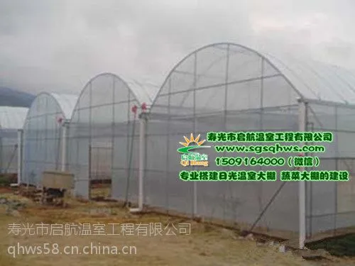蔬菜大棚 简易连栋拱棚 寿光市启航温室