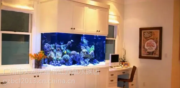 广州哪里有鱼缸店,广州定做海水鱼缸,海水观赏鱼缸定做超白玻璃制作,哪里定制海水超白鱼缸运输上门