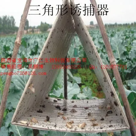 ��Ӧ���������ղ���