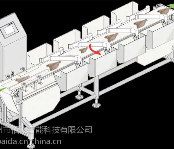 佰达 鸡腿鸡翅重量分级机