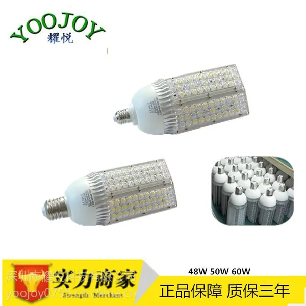 经济款50W路灯 E39路灯 60W 2面 180度