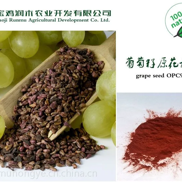专业供应葡萄籽提取物原花青素95%