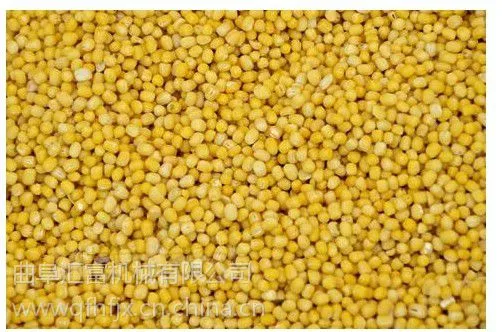 脱皮碾米机 高效率碾米机 山东厂家直销碾米机