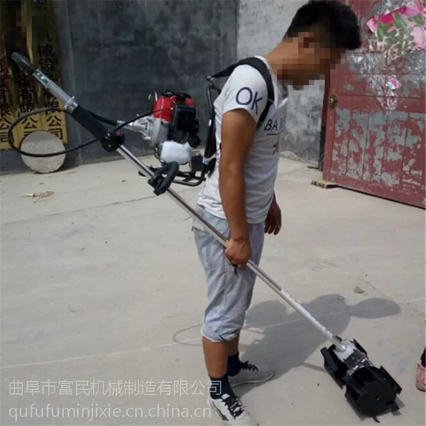 �����԰���ݻ� �¿�米ʽ���ݻ� ������