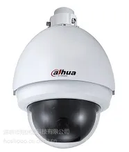 大华DH-SD-65A120-HNI多场景巡航跟踪网络球机