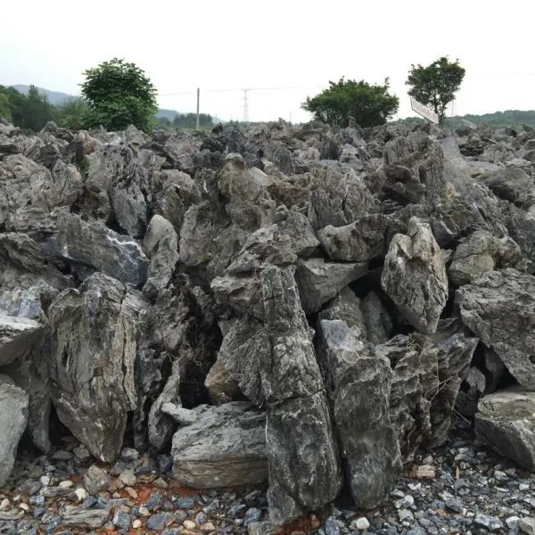 英石特产基地出货、批发价350元/吨