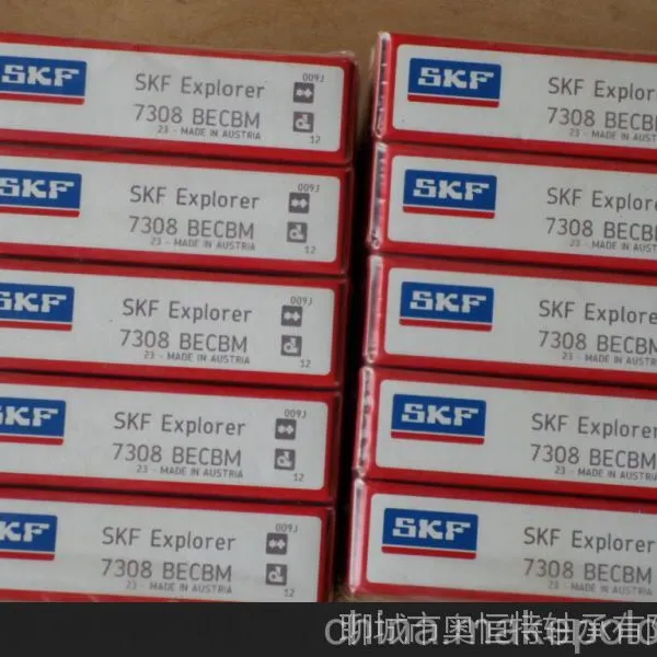 �������SKF6014
