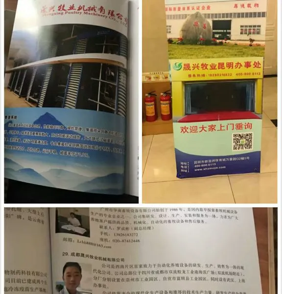 晟兴牧业供应全自动养鸡设备,鸡笼,蛋鸡设备