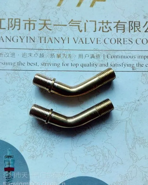 各种电动车摩托车轮胎易换新型胎用天一TYVC气门嘴R70