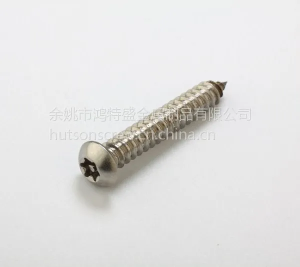 鸿特盛高品质圆头梅花防盗自攻钉