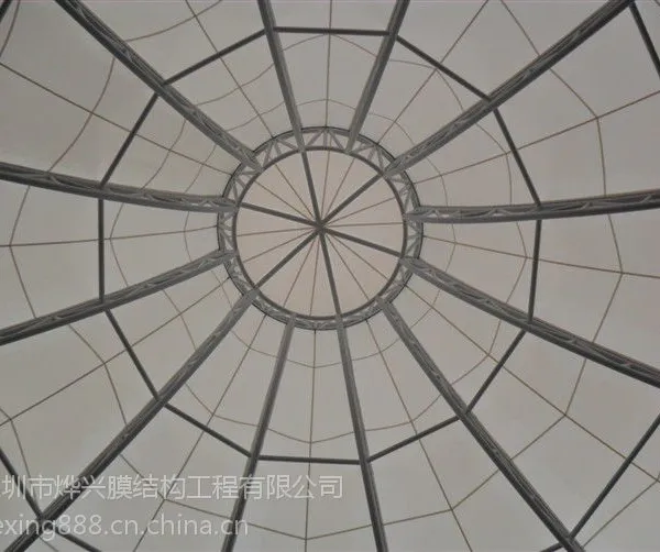 ��Ӧ����Ĥ�ṹ ���翹ѹ ��ɹ