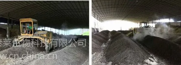 优菌康粪便发酵剂发酵牛粪做有机肥的技术要点