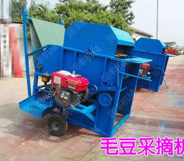 ����Ʋ��ͻ�������ë����ժ��ժë���� ��������Ҫ