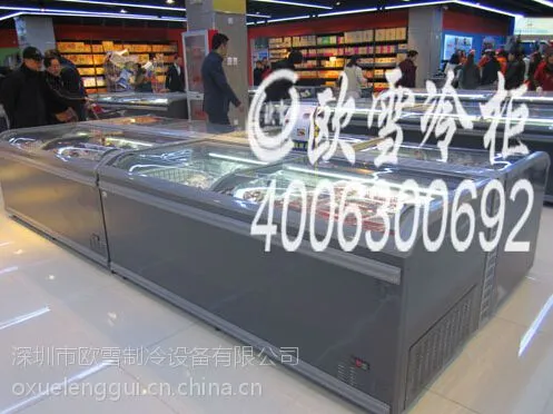 北京天津河北、自贸区DIG进口食品冷业链低温无霜冷柜是哪家做的