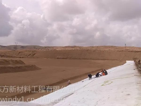 蓄水池土工膜 防渗土工膜