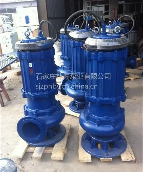 300QW800-20-75Ǳˮ��