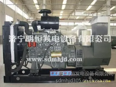 ��ӦΫ�񻪷�100kw���ͷ������ ˮ�䷢�綯��ֱ��