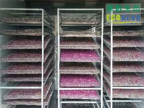 玫瑰花烘干机,热泵鲜花烘干机