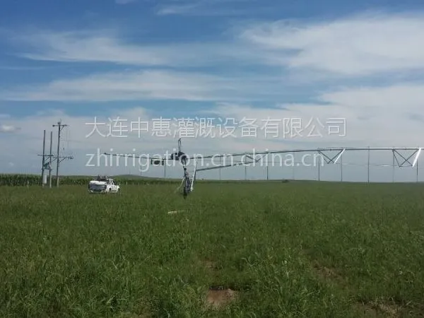 �л� ����ָ��ʽ���� ԭ�ͻ�