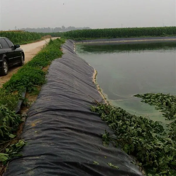 河南开封杞县尉氏哪里有莲藕地膜覆盖种植塑料布薄膜养鱼塘防水布建设