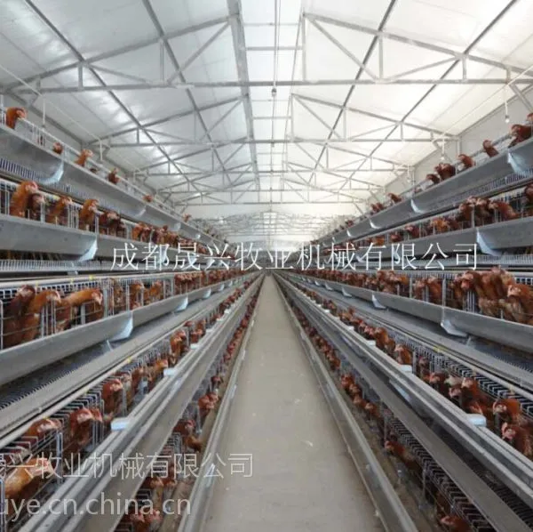 晟兴牧业供应全自动养鸡设备