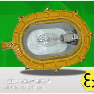 海洋王BFC8120内场防爆强光泛光灯 -防爆灯