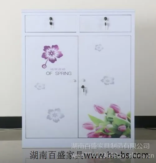 【厂家直销】百盛活动柜 湖南铁皮资料柜 铁皮文件柜