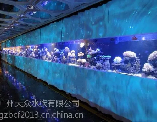 全国哪里可以订做大型亚克力观赏鱼缸亚克力有机玻璃制作海水观赏鱼缸,大型亚克力海水观赏鱼缸生产厂家