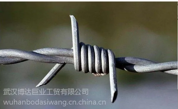 【特别推荐】孝感镀锌/包塑铁丝网围栏/304带刺铁丝网刺绳护栏