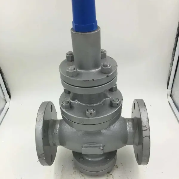 ��ӦY43H-25�ȵ�����ʽ������ѹ��