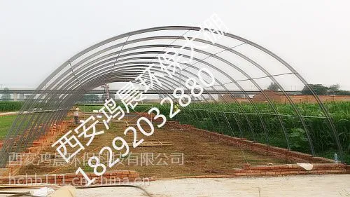 �賿�����߲˴���