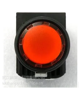 供应富士 FUJI Fe 带灯按钮开关 Ф22孔径 AR22F0L-10M4R