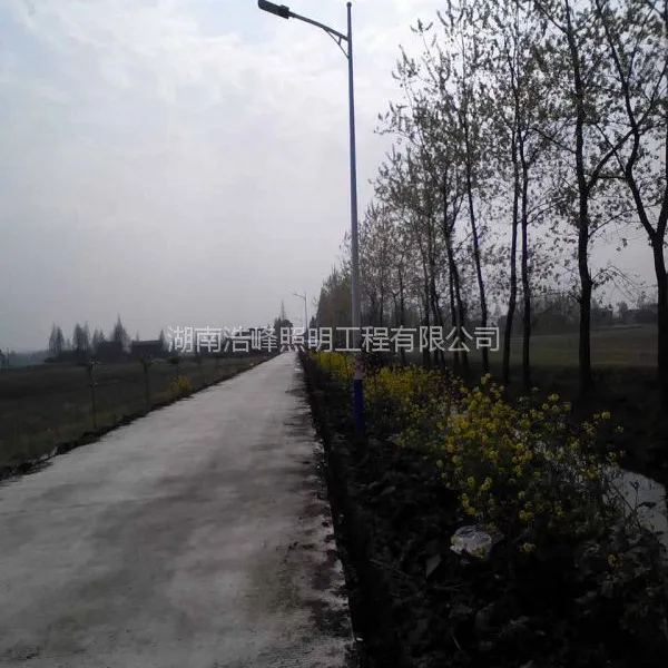 湖南张家界LED路灯厂家 桑植/慈利农村LED路灯安装 LED路灯批发价格