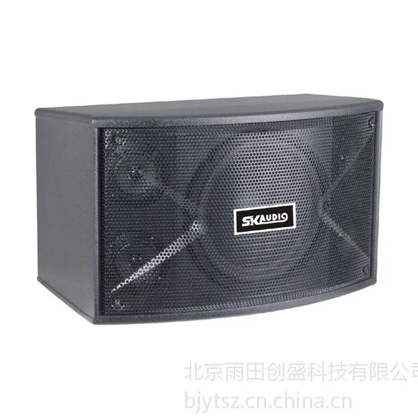SK音响 OK-10B 卡拉OK音箱 娱乐KTV音箱 吊挂音箱 娱乐音响设备
